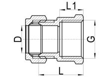 Внутренняя прямая муфта C×FI, HS100-003